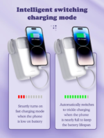 LDNIO | PQ50 | 50000mAh Power Bank - Image 3